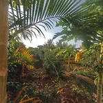 Seabreeze Villas Nungwi